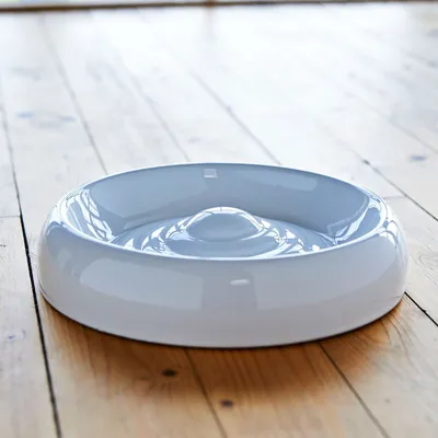 Runder, weisser Futternapf mit erhöhtem Mittelteil auf Holzboden. Design fördert langsames Fressen.