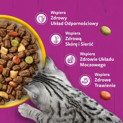 Karma dla kotów w miseczce, obok symbole z polskim tekstem: Wspiera układ odpornościowy, skórę i sierść, zdrowie dróg moczowych, trawienie. Karma dla kotów w miseczce, obok symbole z polskim tekstem: Wspiera układ odpornościowy, skórę i sierść, zdrowie dróg moczowych, trawienie.