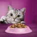 Whiskas 1+ Sterile Kip