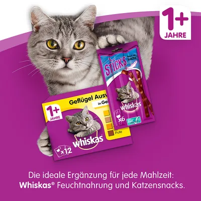 Whiskas Sticks au saumon x6 et boîte Whiskas Geflügel Ausw. en gelée x12, pour chats 1+ an, texte en allemand sur l’image.