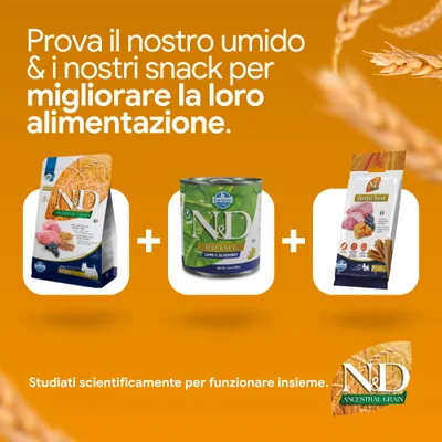 N&D Ancestral Grain crocchette, N&D Prime alimento umido agnello & mirtillo, N&D dental treat snack. Sviluppato scientificamente per un'alimentazione ottimale.