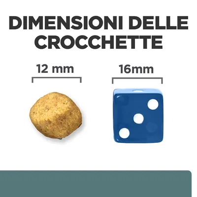Dimensioni delle crocchette: confronto tra una crocchetta da 12 mm e un dado blu da 16 mm. Testo visibile: 'DIMENSIONI DELLE CROCCHETTE', '12 mm', '16 mm'.