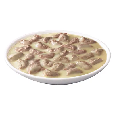 Miska s kousky masa v omáčce, zobrazeno krmivo pro domácí mazlíčky na bílém talíři.