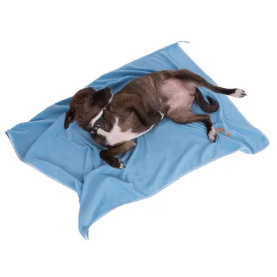 Hund liegt auf einer blauen Decke, zeigt Nutzung des Produkts als Liegefläche.