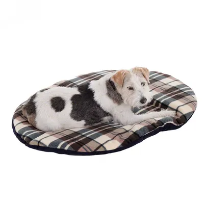 Hund liegt auf einem ovalen Hundekissen mit kariertem Muster in Beige, Braun und Dunkelgrün.