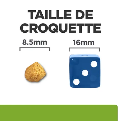 Taille de croquette : 8,5 mm à côté d’un dé bleu de 16 mm pour comparaison visuelle
