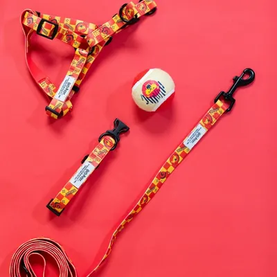 Set of dog harness, lead and ball with colourful pattern. Text on harness and lead: 'High Hopes'.