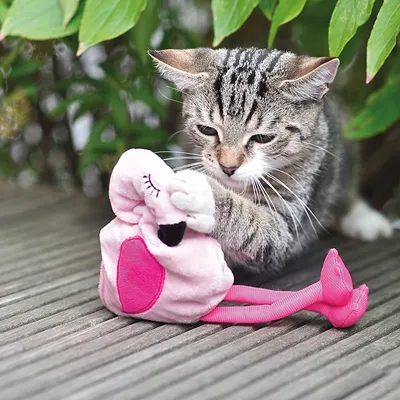 Junge Katze spielt mit einem rosa Plüschspielzeug in Flamingo-Form auf einer Holzterrasse.