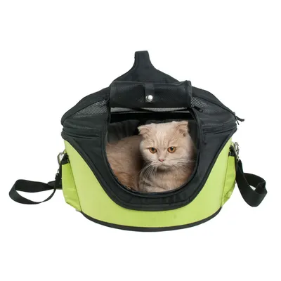 Sac de transport vert et noir avec un chat beige à l’intérieur, ouverture frontale zippée, poignée et bandoulière visibles.