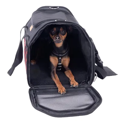 Petit chien assis dans un sac de transport noir à bandoulière, ouverture avant zippée et surface intérieure en tissu, parties latérales avec motif à carreaux rouges visibles.