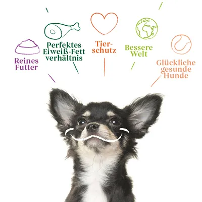 Reines Futter, perfektes Eiweiß-Fett-Verhältnis, Tierschutz, bessere Welt, glückliche gesunde Hunde. Illustration mit Hund und Symbolen.