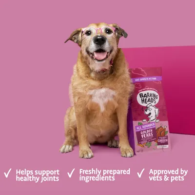 Pet food packaging with text: helps support healthy joints, freshly prepared ingredients, approved by vets and pets. Image shows a pet beside the product.