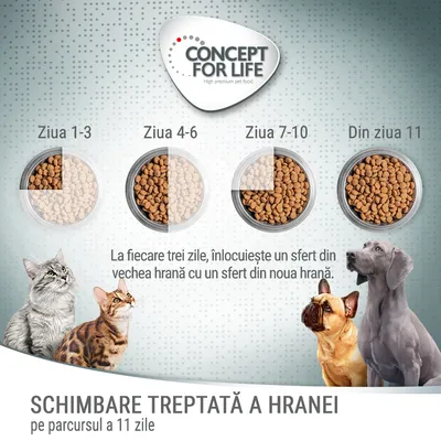 Instrucțiuni Concept for Life: schimbare treptată a hranei pe 11 zile, înlocuind un sfert din vechea hrană cu noua hrană la fiecare trei zile. Vizibile boluri cu proporții diferite.