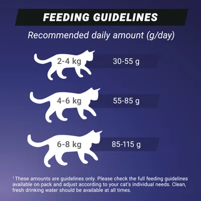 Feeding recommendation: 2–4 kg, 30–55 g; 4–6 kg, 55–85 g; 6–8 kg, 85–115 g daily. Always provide fresh drinking water. Feeding recommendation: 2–4 kg, 30–55 g; 4–6 kg, 55–85 g; 6–8 kg, 85–115 g daily. Always provide fresh drinking water.