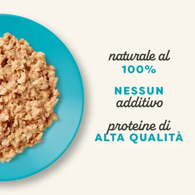 Applaws Natural Kitten in brodo 12 x 50 g