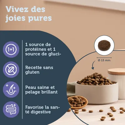 Croquettes dans un bol, texte : 1 source de protéines et 1 source de glucides, recette sans gluten, peau saine et pelage brillant, favorise la santé digestive, croquette Ø 15 mm.