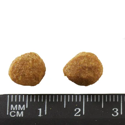 Two pieces of dry pet food shown above a black ruler with millimetre and centimetre markings, each piece about 1.5 cm wide