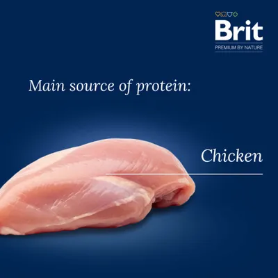 Brit Premium by Nature Adult S