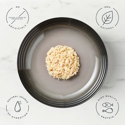 Encore Dog Tin 12 x 156g - Chicken Breast with Rice