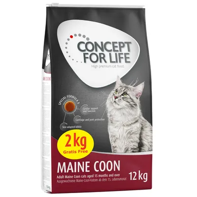 Concept for Life hrană pentru pisici Maine Coon, pachet de 12 kg cu 2 kg gratuit. Pentru pisici Maine Coon adulte de la 15 luni. Special Formula: protecție pentru inimă, articulații și crochete.