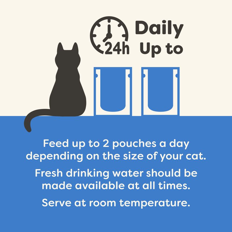 Applaws Pouches in Jelly Wet Cat Food 16 x 70g