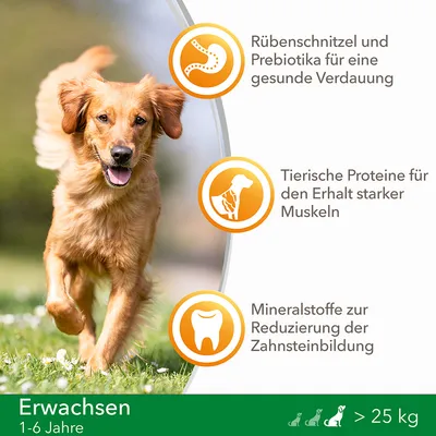 Rübenschnitzel und Prebiotika für eine gesunde Verdauung, Tierische Proteine für den Erhalt starker Muskeln, Mineralstoffe zur Reduzierung der Zahnsteinbildung. Erwachsen 1–6 Jahre, yli 25 kg