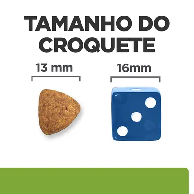 Tamanho do croquete: croquete triangular com 13 mm ao lado de um dado azul com 16 mm. Texto visível: 'TAMANHO DO CROQUETE', '13 mm', '16 mm'.