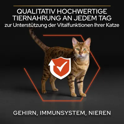 Qualitativ hochwertige Tiernahrung zur Unterstützung der Vitalfunktionen Ihrer Katze: Gehirn, Immunsystem, Nieren. Schutzsymbol mit Häkchen sichtbar.