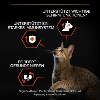Unterstützt wichtige Gehirnfunktionen, ein starkes Immunsystem und gesunde Nieren. Hinweis: logisches Denken, Problemlösung, Gedächtnisfunktion und Anpassung an neue Situationen.