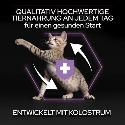 Qualitativ hochwertige Tiernahrung an jedem Tag für einen gesunden Start. Entwickelt mit Kolostrum.