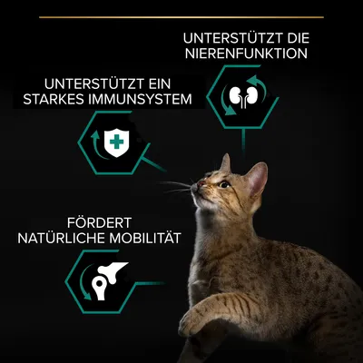 Produkt unterstützt die Nierenfunktion, stärkt das Immunsystem und fördert natürliche Mobilität. Katze im Vordergrund.