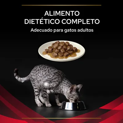 Alimento dietético completo. Adecuado para gatos adultos. Imagen de comida húmeda en plato y gato gris comiendo de un cuenco metálico.