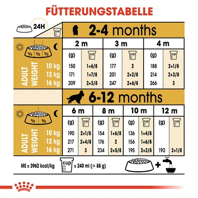 Fütterungstabelle für Hunde: Mengenangaben nach Alter (2-12 Monate) und Gewicht (10-16 kg). Masseinheit: Gramm oder Cups. Energiegehalt: 3962 kcal/kg, 1 Cup = 240 ml (88 g).