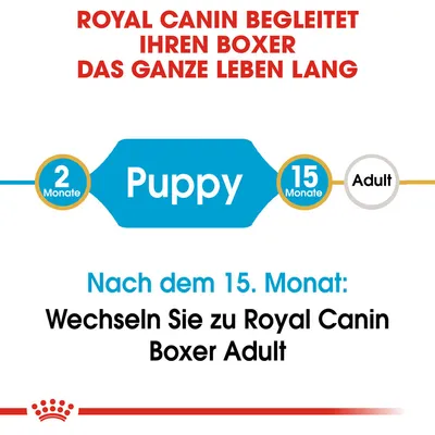 Royal Canin begleitet Ihren Boxer das ganze Leben lang. Nach dem 15. Monat wechseln Sie zu Royal Canin Boxer Adult. Puppy-Futter für 2 bis 15 Monate.