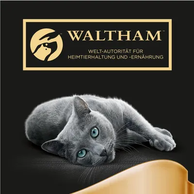 WALTHAM. WELT-AUTORITÄT FÜR HEIMTIERHALTUNG UND -ERNÄHRUNG. Grå kat ligger ned foran mærkets navn og tekst. Tekst på tysk.