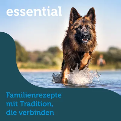 essential. Familienrezepte mit Tradition, die verbinden.
