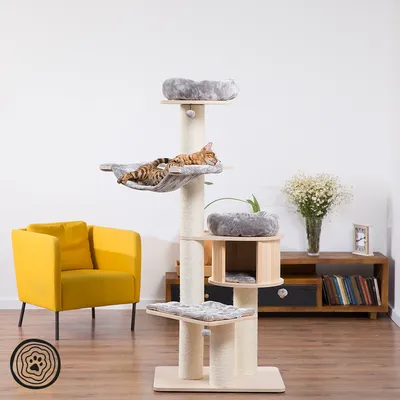 Kratzbaum mit mehreren Ebenen, Sisalstämmen und grauen Liegeflächen. Bengal-Katze ruht auf einer Hängematte. Modernes Wohnzimmer im Hintergrund.
