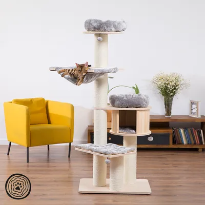 Kratzbaum mit mehreren Ebenen, Sisalstämmen und grauen Liegeflächen. Bengal-Katze liegt auf Hängematte. Modernes Wohnzimmer im Hintergrund.