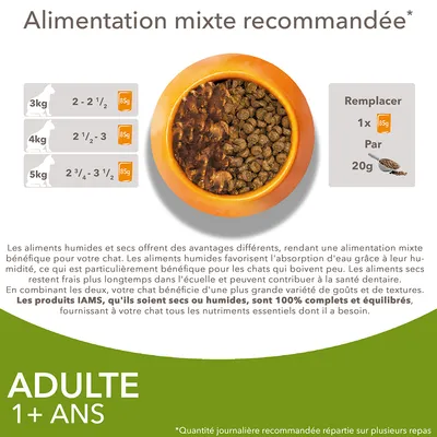 Conseils d’alimentation mixte pour chats adultes : 3 kg 2–2½ portions, 4 kg 2½–3, 5 kg 2¾–3½, chaque portion 85 g. Remplacer 1x 85 g humide par 20 g sec. Pour chats de 1 an et plus.