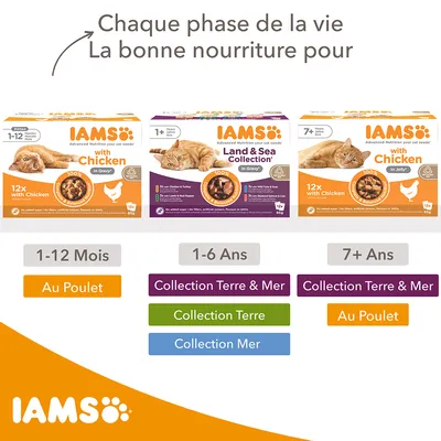Trois boîtes IAMS pour chats : 1–12 mois au poulet, 1–6 ans Collection Terre & Mer, 7+ ans au poulet. Texte visible : Chaque phase de la vie, La bonne nourriture pour. Collections listées par âge.