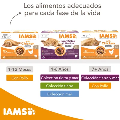 Tres cajas de comida para gatos IAMS: 1-12 meses con pollo, 1-6 años colección tierra y mar, 7+ años con pollo. Texto: Los alimentos adecuados para cada fase de la vida.