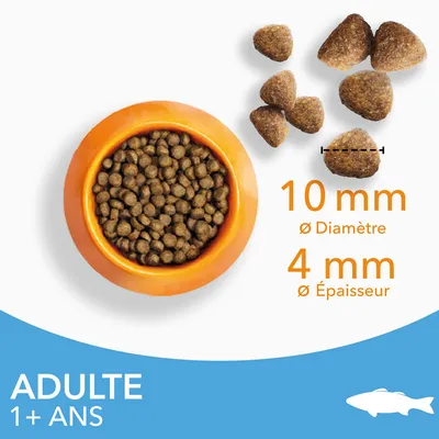 Croquettes pour poisson adulte, diamètre 10 mm, épaisseur 4 mm, bol orange rempli de croquettes, indication « ADULTE 1+ ANS » en bas à gauche.