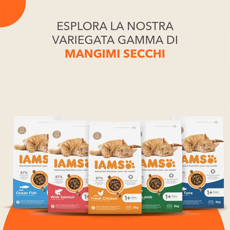 IAMS Advanced Nutrition Adult Cat con Salmone