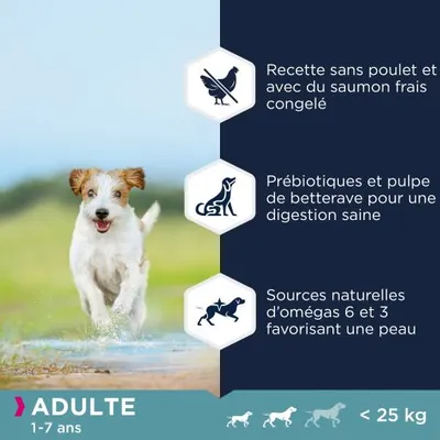 Recette sans poulet, saumon frais congelé, prébiotiques et pulpe de betterave, sources naturelles d’omégas 6 et 3. Adulte 1–7 ans, chien moins de 25 kg.