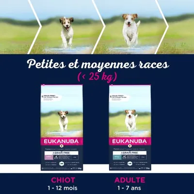Croquettes Eukanuba pour petites et moyennes races (<25 kg), chiot 1–12 mois, adulte 1–7 ans. Deux sacs visibles avec photo de chien et texte GRAIN FREE sur l’emballage.