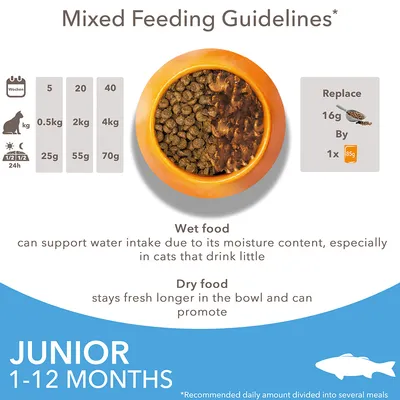 Mixed feeding guidelines for junior cats 1–12 months: 0.5kg 25g, 2kg 55g, 4kg 70g dry food per day; replace 16g dry with 1×85g wet food. Wet and dry food benefits described.
