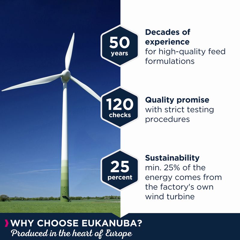 Eukanuba Grain Free Senior Large & Giant merikala