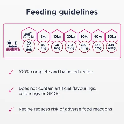 Utfodringsråd per hundvikt: 5 kg 85–95 g, 10 kg 130–145 g, 20 kg 210–235 g, 30 kg 280–305 g, 40 kg 335–375 g, 60 kg 440–490 g per dag. Text på engelska om receptets egenskaper.