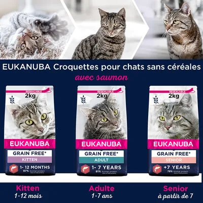 EUKANUBA Croquettes pour chats sans céréales avec saumon, 2 kg. Kitten 1–12 mois, Adult 1–7 ans, Senior à partir de 7 ans. Protéines animales : 87 %, 81 %, 79 % selon l’âge.