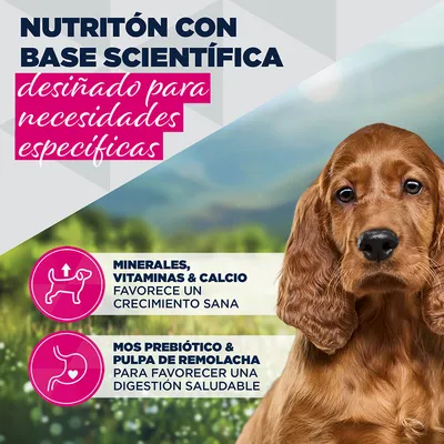 Eukanuba Special Care Puppy Sensitive Digestion Eukanuba Special Care Puppy Sensitive Digestion